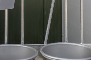 IMG_4428v2