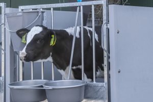 IMG_5146bewv2
