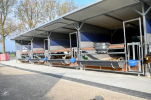 Flexistal XL (2)
