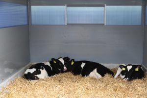 Flexistal XL - Binnenkant (2)