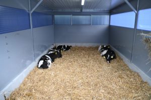 Flexistal XL - Binnenkant (3)